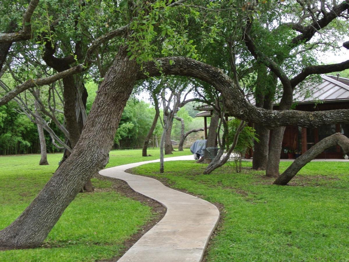 Live Oaks Bed And Breakfast Uvalde Eksteriør billede